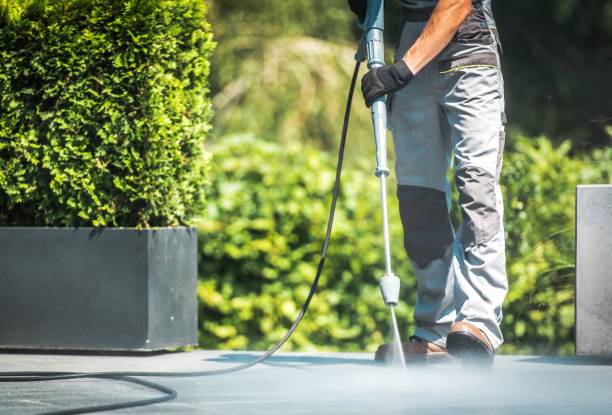 Best Parking Lot and Garage Cleaning  in Hayfield, MN