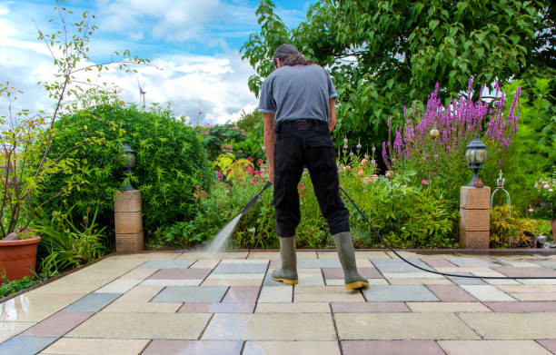 Trusted Hayfield, MN Pressure Washing Services Experts